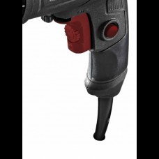 RAIDER RDP-ID43 Masina de gaurit 450W 10mm Black E..